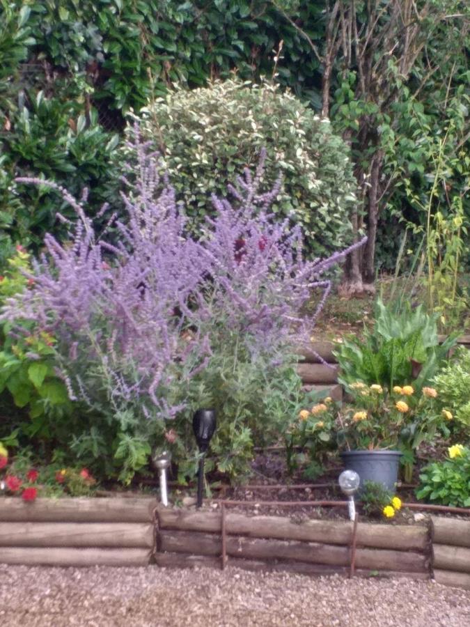 Le Jardin De Josseline Hotel Amboise Luaran gambar